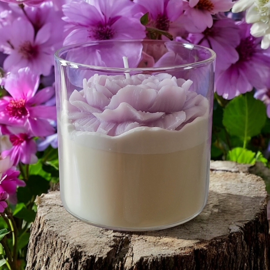 Lavender Grove